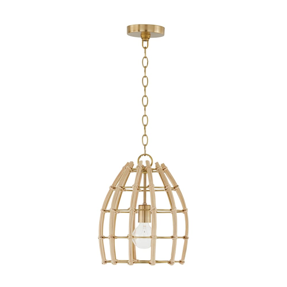 Capital Lighting Wren 1 Light Pendant 344111MA Coastal Lighting