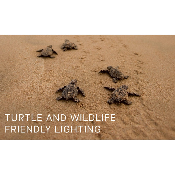 Turtle and Wildlife Friendly Lighting