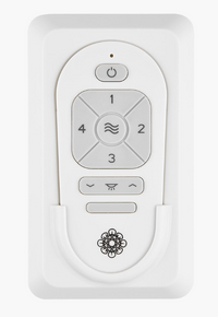 Extra Remote with Wall Mount for Avila Coastal Fans
