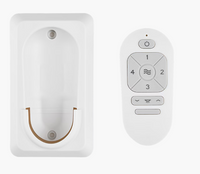 Extra Remote with Wall Mount for Avila Coastal Fans