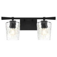 Goodwin 2 Light Vanity - Black