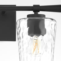 Goodwin 2 Light Vanity - Black
