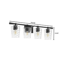 Goodwin 4 Light Vanity - Black