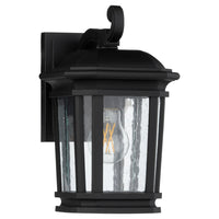 Murphy 9.5" Coastal Outdoor Wall Lantern