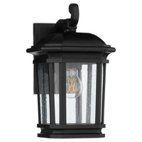 Murphy 11.75" Coastal Outdoor Wall Lantern