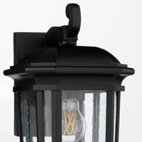 Murphy 11.75" Coastal Outdoor Wall Lantern