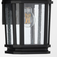 Murphy 11.75" Coastal Outdoor Wall Lantern