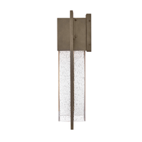 Alex 20" Coastal Outdoor Wall Lantern - Burnished Bronze