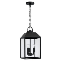 Nelson Coastal Outdoor Pendant