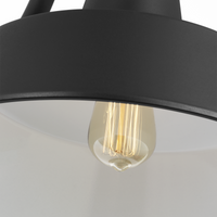 Barn Light Coastal Outdoor Wall Lantern - Black - Large