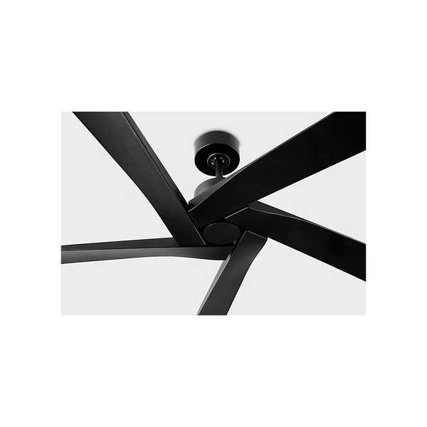 Aspen Coastal Outdoor Ceiling Fan - 56" - Black