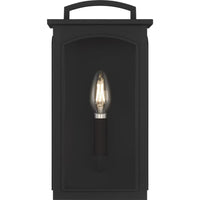 Modesto 12" Coastal Outdoor Wall Lantern