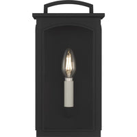 Modesto 12" Coastal Outdoor Wall Lantern