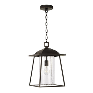 Capital Lighting Durham - Coastal Outdoor Hanging Lantern - Oiled Bronze 943614OZ Coastal Lighting