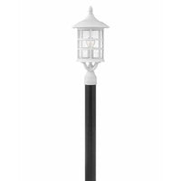 Hinkley Freeport Coastal Elements - Large Post Top or Pier Mount Lantern 1861TW Coastal Lighting