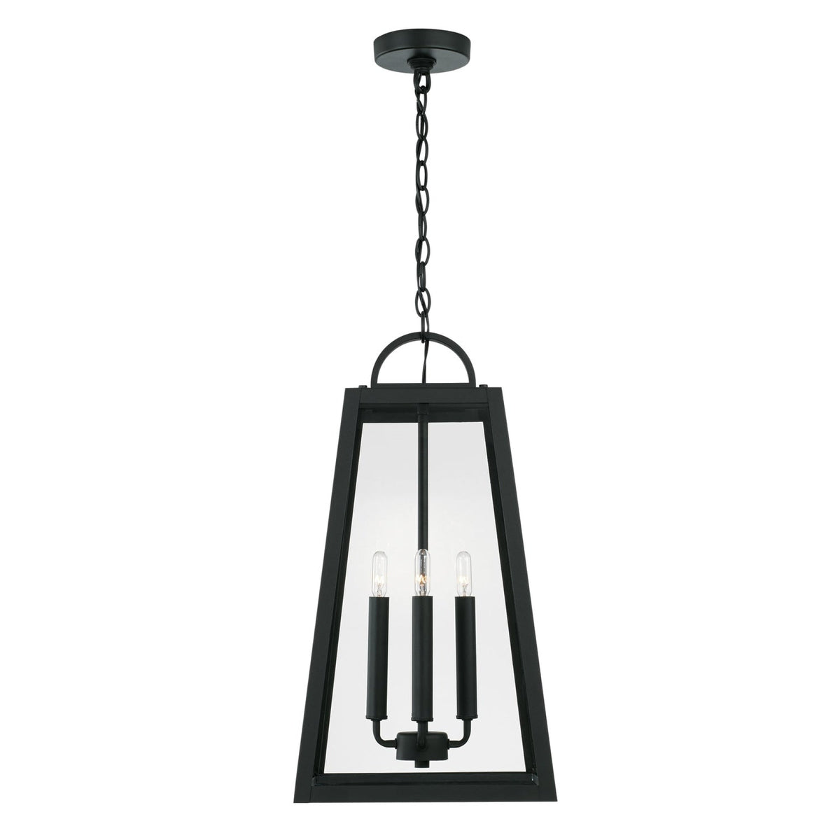 Capital Lighting Leighton - Coastal Outdoor Hanging Lantern - Black 943744BK Coastal Lighting