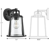 Progress South Haven Coastal Wall Lantern - Medium 11 P560178-031 Coastal Lighting