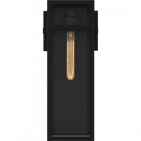 Vanessa Coastal Outdoor Wall Lantern - 18"
