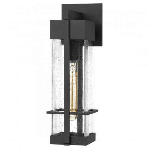 Wynn Coastal Outdoor Wall Lantern - Small 15.75"