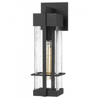 Wynn Coastal Outdoor Wall Lantern - Small 15.75"