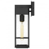 Wynn Coastal Outdoor Wall Lantern - Small 15.75"