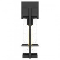Wynn Coastal Outdoor Wall Lantern - Small 15.75"