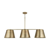 Capital Lighting 3 Light Island 837831AD Coastal Lighting