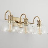 Capital Lighting 3 Light Vanity 139133AD-497 Coastal Lighting