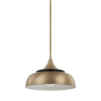 Capital Lighting One Light Pendant 325713BX Coastal Lighting