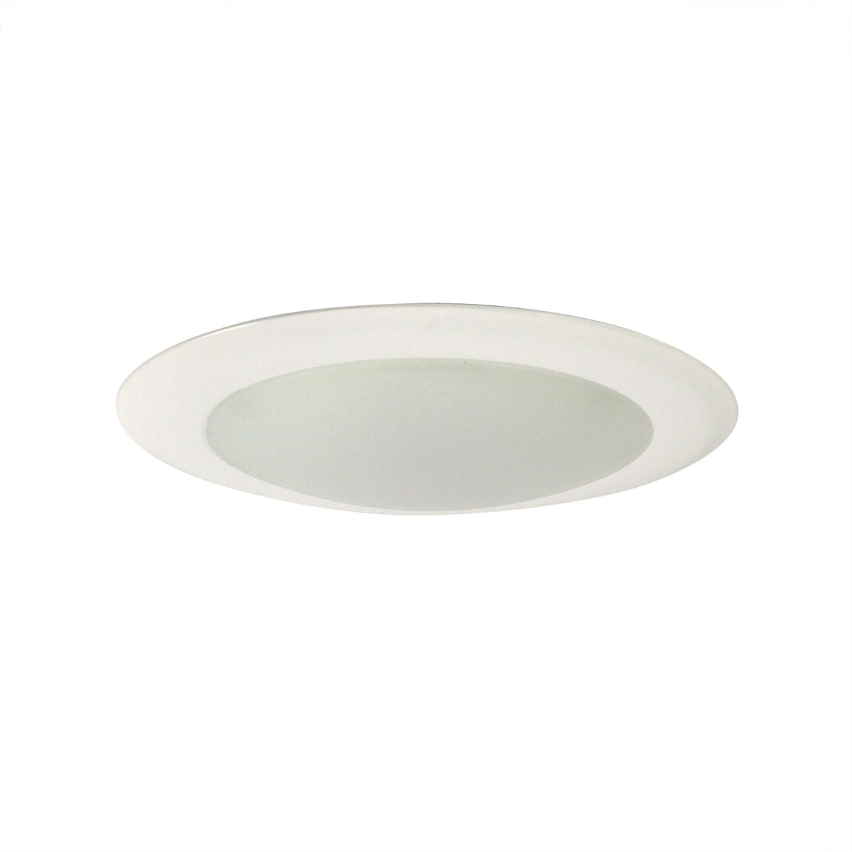 Coastal Lighting 6 INCH SURFACE DISK 070-NLOPAC-R6509T2430W Coastal Lighting