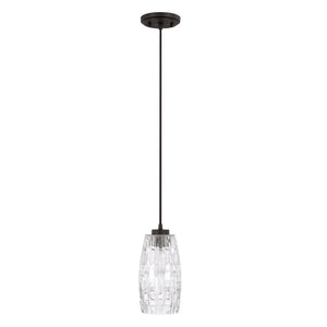 Capital Lighting One Light Pendant 328611BI-450 Coastal Lighting