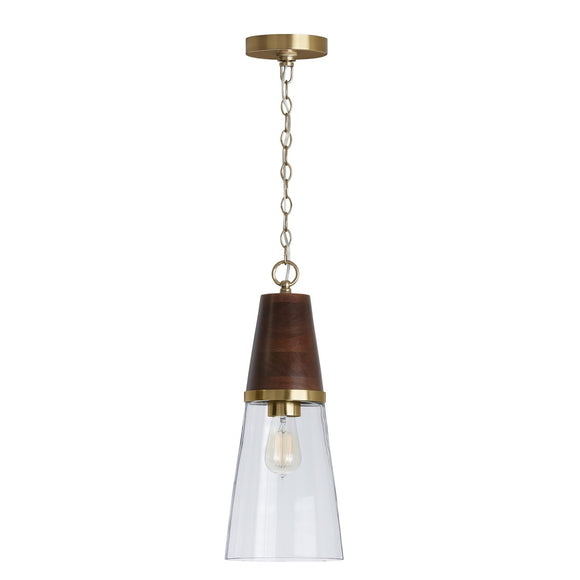 Capital Lighting One Light Pendant 333911WR-477 Coastal Lighting