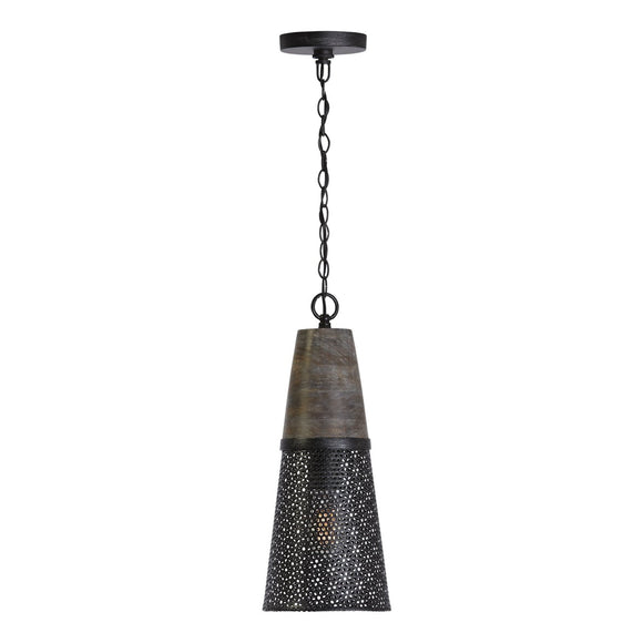 Capital Lighting One Light Pendant 333911BH-692 Coastal Lighting