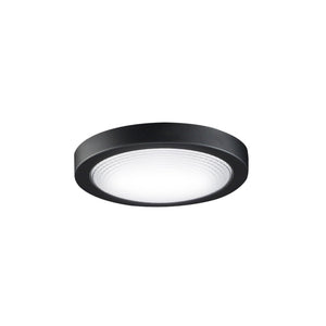 Fanimation Spitfire Light Kit Black Coastal Lighting