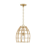 Capital Lighting Wren 1 Light Pendant 344111MA Coastal Lighting